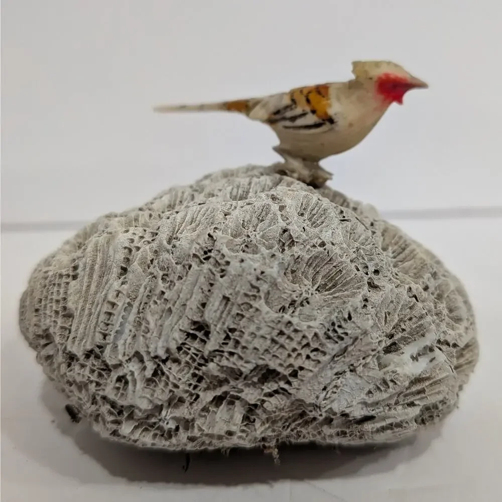 Vintage Hand Carved Miniature Bird Figurine on Marine Reef Stone Base